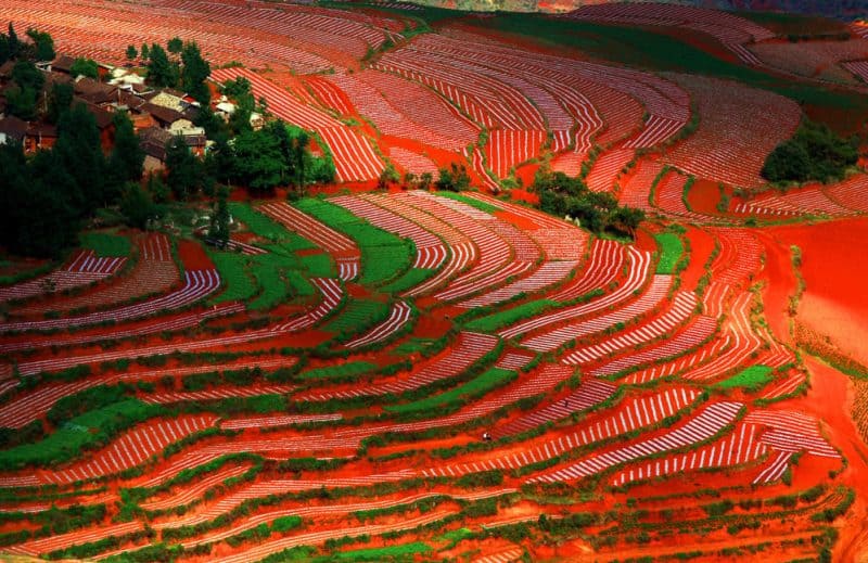 dongchuan-red-land6-800x519.jpg